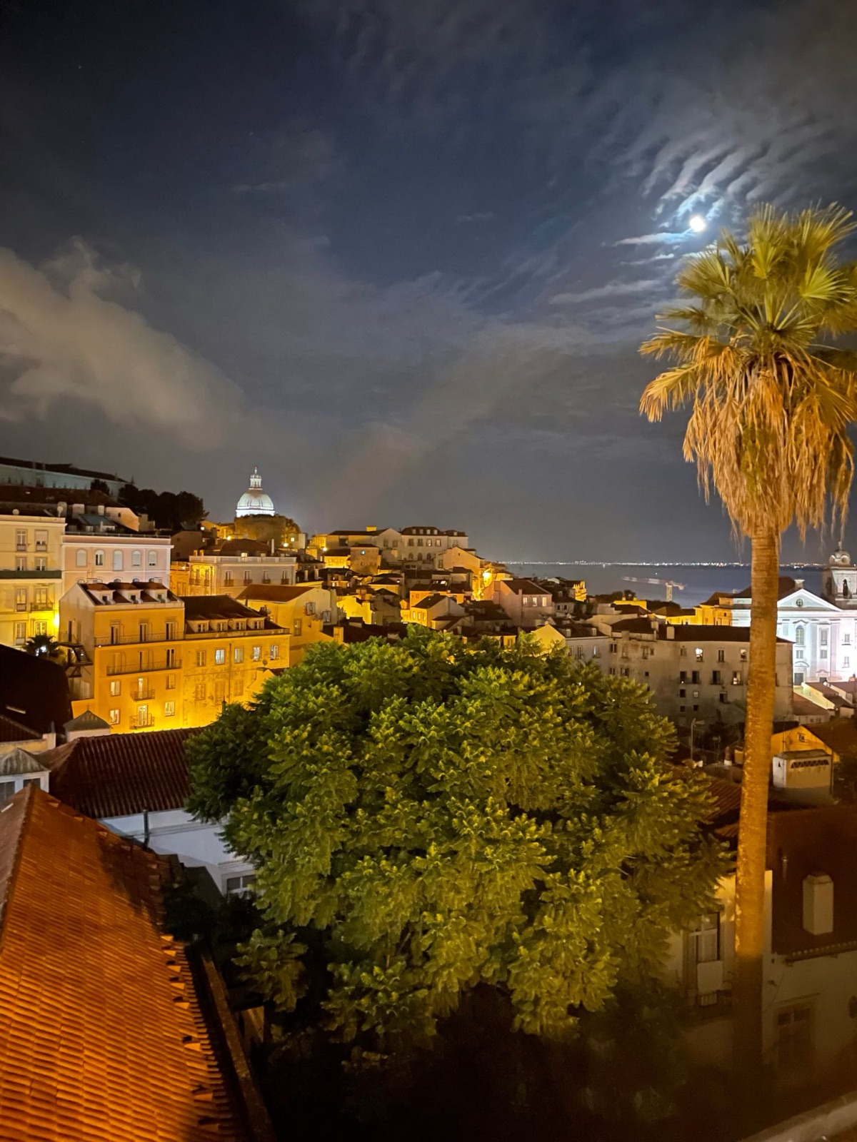 Lisbon at night, with the lit dome of the Panteão under a moon and a palm tree